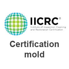 Mold Certification